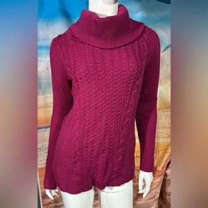 Classiques Entier Merino Wool Turtleneck Sweater
